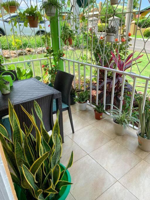 Mammee Bay Cozy Villa מראה חיצוני תמונה