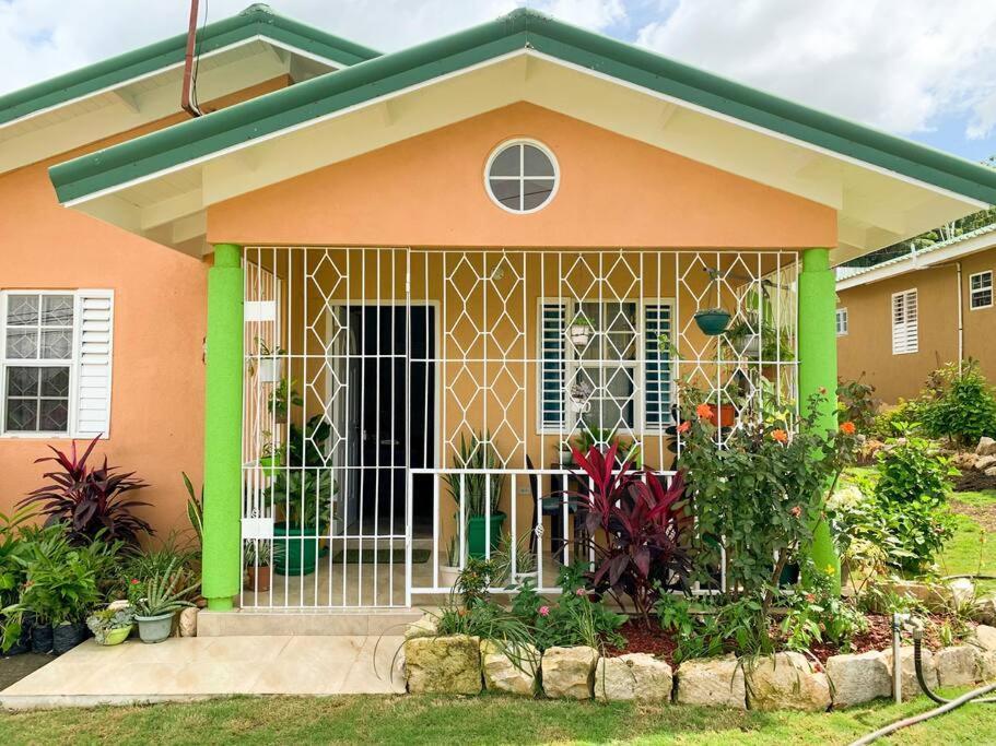 Mammee Bay Cozy Villa מראה חיצוני תמונה